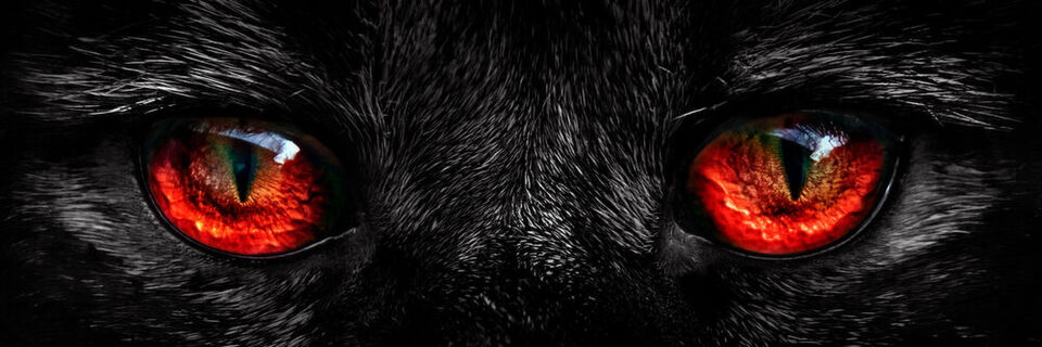 G Data setzt „Beast“ jetzt in den Business-Lösungen ein. G Data setzt „Beast“ jetzt in den Business-Lösungen ein.