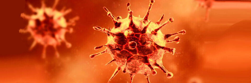 Das Coronavirus sorgt nicht nur beim Thema Gesundheit für Unsicherheit, sondern auch bei rechtlichen Themen. Das Coronavirus sorgt nicht nur beim Thema Gesundheit für Unsicherheit, sondern auch bei rechtlichen Themen.