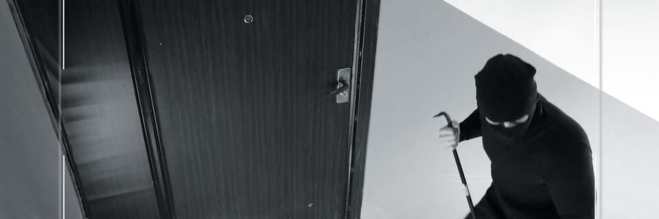 Auf frischer Tat erwischt: Videotechnik hat einen Schurken entdeckt. Auf frischer Tat erwischt: Videotechnik hat einen Schurken entdeckt.