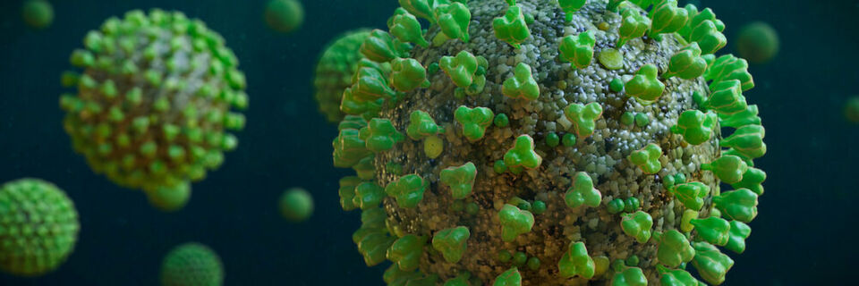 Das Coronavirus bringt die Gesundheitssysteme in vielen Ländern an ihre Belastungsgrenzen und darüber hinaus. Das Coronavirus bringt die Gesundheitssysteme in vielen Ländern an ihre Belastungsgrenzen und darüber hinaus.