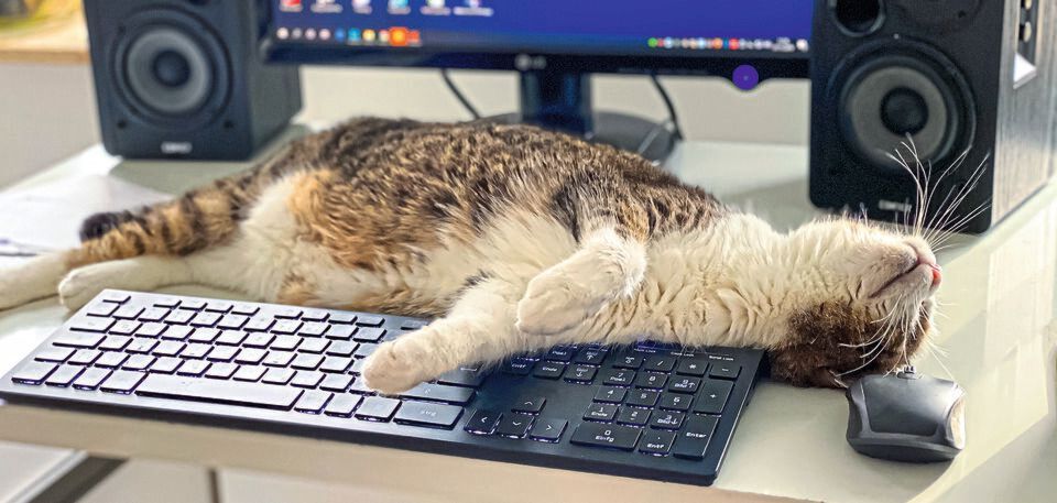 Langeweile im Homeoffice? Gadgets können helfen. Langeweile im Homeoffice? Gadgets können helfen.