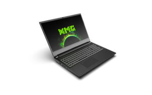 Im XMG Apex 15 von Schenker Technologies stecken AMD-Ryzen-3000-Desktopprozessoren mit bis zu 16 Cores. Der Ryzen 9 3950X muss allerdings auf 65 Watt gedrosselt werden. Im XMG Apex 15 von Schenker Technologies stecken AMD-Ryzen-3000-Desktopprozessoren mit bis zu 16 Cores. Der Ryzen 9 3950X muss allerdings auf 65 Watt gedrosselt werden.
