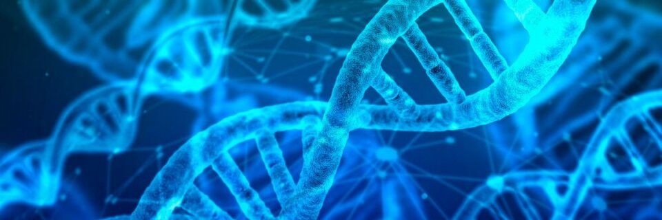 Die Ära anonymer Teilnahme an offenen Blockchain-Ökosystemen neigt sich ihrem Ende zu. Eine Technologie der Vertrauensbildung braucht digitale Identitäten. Die Ära anonymer Teilnahme an offenen Blockchain-Ökosystemen neigt sich ihrem Ende zu. Eine Technologie der Vertrauensbildung braucht digitale Identitäten.