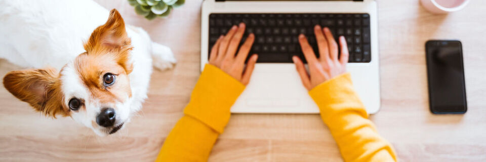 Homeoffice oder lieber Büro? Homeoffice oder lieber Büro?