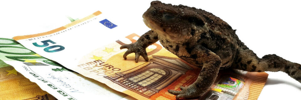 Die Software Toad (Deutsch: Kröte) ist eine wichtige „Cash Cow“ bei Quest. Die Software Toad (Deutsch: Kröte) ist eine wichtige „Cash Cow“ bei Quest.