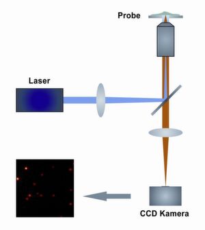 1 Prinzipieller Aufbau eines dSTORM Mikroskops: Das Anregungslicht eines Lasers (blau) wird durch ein Objektiv auf eine Probe geleitet, und auf diese Weise Farbstoffe zur Aussendung von Fluoreszenzlicht angeregt (orange). Das Fluoreszenzsignal einzelner Moleküle wird mit hochempfindlichen CCD-Kameras detektiert. Bilder: Uni Würzburg