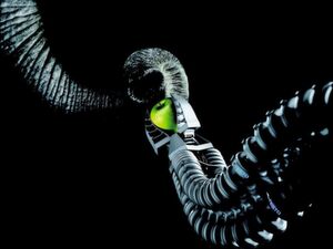 Am Beispiel des Bionischen Handlungsassistenten von Festo wird PTC seine innovative MCAD-Technologie Creo vorführen. Der mit dem Deutschen Zukunftspreis ausgezeichnete Bionische Handling-Assistent ist ein Greifarm, dessen Struktur und Funktionsweise dem Elefantenrüssel nachempfunden wurde. (Bild: PTC) Am Beispiel des Bionischen Handlungsassistenten von Festo wird PTC seine innovative MCAD-Technologie Creo vorführen. Der mit dem Deutschen Zukunftspreis ausgezeichnete Bionische Handling-Assistent ist ein Greifarm, dessen Struktur und Funktionsweise dem Elefantenrüssel nachempfunden wurde. (Bild: PTC)