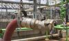 Dry Disconnect Couplings Help a Manufacturer Manage the Toxic Substance Phenol Safely