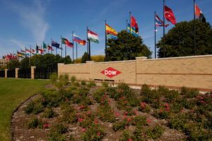 (Picture: Dow)