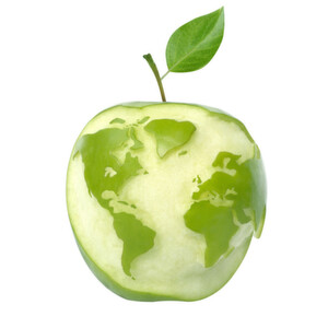 Wer hinterher nicht in den sauren Apfel beißen will, sollte bei Patentanmeldungen frühzeitig überlegen, ob ein Produkt nur in Europa oder auch in den USA geschützt werden soll