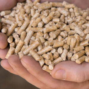 Fig. 1: Wood pellets are by far the most popular biomass fuel.
