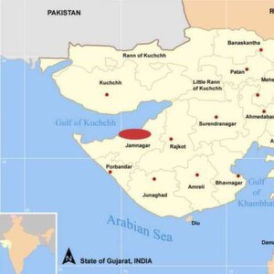 Fluor was selected to work on several petrochemical assets in India's refinery capital Jamnagar.