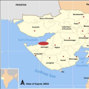 Jamnagar - currrently the location of the world's biggest refinery and a future petrochemical hub. Jamnagar - currrently the location of the world's biggest refinery and a future petrochemical hub.