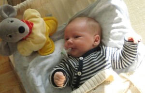 Schon vor der Geburt der Kinder kommen viele Mütter und Väter mit dem Unternehmen Walz in Berührung. Die Marke Baby Walz ist bekannt. Jetzt will das Unternehmen die Logistik auslagern. Schon vor der Geburt der Kinder kommen viele Mütter und Väter mit dem Unternehmen Walz in Berührung. Die Marke Baby Walz ist bekannt. Jetzt will das Unternehmen die Logistik auslagern.