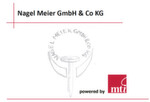 Abbildung 1: Die Nagel Meier GmbH & Co. KG steht für jedes mittelständische Unternehmen (100 bis 600 Mitarbeiter); typisch ist etwa die Verflechtung von Produktions- und Büro-IT, untergebracht in einem kleiner Server-Raum - hier: in der Ex-Putzkammer - und einem, für alle EDV-Belange zuständigen Administrator: Anton Admin - seines Zeichens krisengeprüft, Kummerkasten, Katastrophenverhinderer und König.