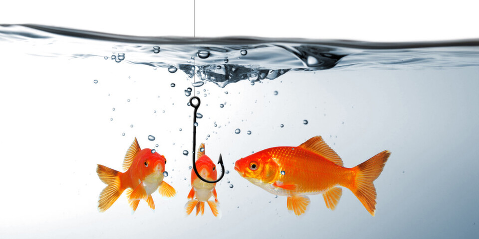Phishing stellt eine ernste Bedrohung dar, nicht nur für die potenziellen Opfer. Phishing stellt eine ernste Bedrohung dar, nicht nur für die potenziellen Opfer.