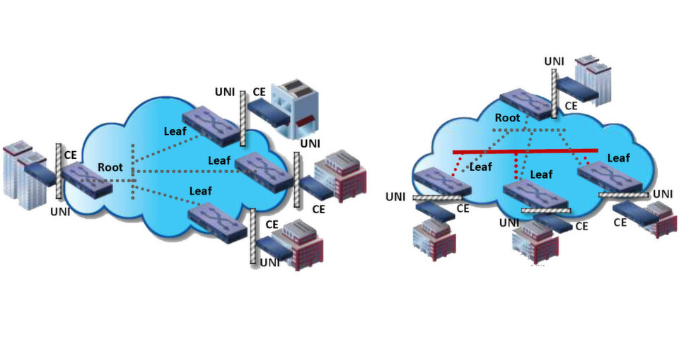 EP-Tree-Services und EVP-Tree-Services gehören zu den neuen Ethernet-2.0.-Spezikifationen des MEF EP-Tree-Services und EVP-Tree-Services gehören zu den neuen Ethernet-2.0.-Spezikifationen des MEF