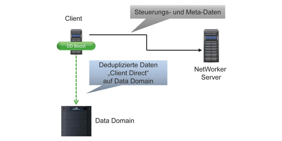 Networker Client Direct Networker Client Direct