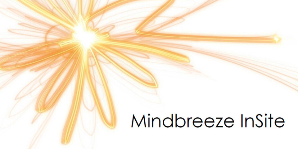 Mindbreeze InSite: Professionelle Website-Suche nach dem Baukastenprinzip. Mindbreeze InSite: Professionelle Website-Suche nach dem Baukastenprinzip.