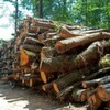 Warum Importeure und Händler auf Herkunft von Verpackung und Holz achten sollten