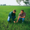 Bayer Plans State-Of-The-Art Facility for Glufosinate-Ammonium Herbicide