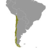 Anglo American Chile names Metso Best Safety Partner of 2012