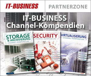 IT-BUSINESS Channel-Kompendien