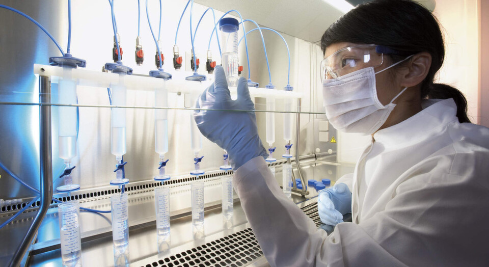 Quality Control of Virus Filters: Biopharmaceutical companies check the filterability of their product, such as monoclonal antibodies, initially by performing lab-scale test series. In these series, they filter their product using different membrane types and check the flow rates, total throughput and binding capacity to determine the optimal membrane and filter area for their product and particular process step. During in-house quality control, the virus-retentive membrane is also routinely tested for its capacity to retain viruses. Quality Control of Virus Filters: Biopharmaceutical companies check the filterability of their product, such as monoclonal antibodies, initially by performing lab-scale test series. In these series, they filter their product using different membrane types and check the flow rates, total throughput and binding capacity to determine the optimal membrane and filter area for their product and particular process step. During in-house quality control, the virus-retentive membrane is also routinely tested for its capacity to retain viruses.