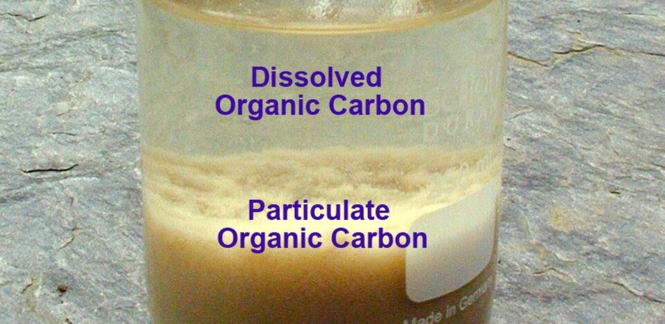 A sample with dissolved and particulate organic carbon A sample with dissolved and particulate organic carbon