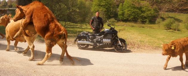 Seit Weibersbrunn 2014 steht fest: Das Motorrad hat defintitv eine erotisierende Wirkung. Seit Weibersbrunn 2014 steht fest: Das Motorrad hat defintitv eine erotisierende Wirkung.