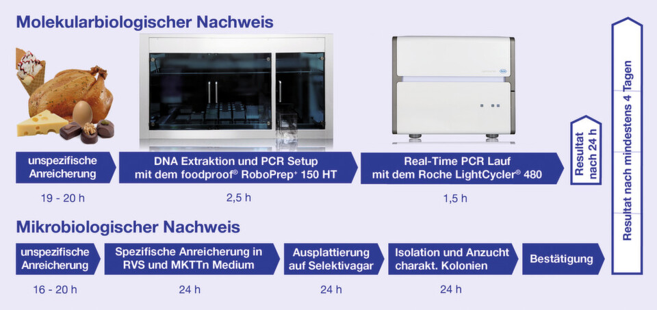 Abb.1: Vergleich der Workflows beim molekularbiologischen und mikrobiologischen Nachweis (nach ISO 6579) von Salmonella Abb.1: Vergleich der Workflows beim molekularbiologischen und mikrobiologischen Nachweis (nach ISO 6579) von Salmonella