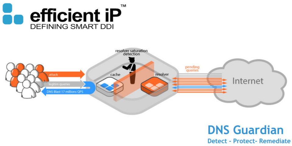 Der DNS Guardian optimiert auch Netzwerkbandbreiten und Latenzzeiten. Der DNS Guardian optimiert auch Netzwerkbandbreiten und Latenzzeiten.