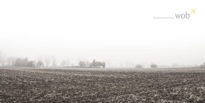 (Fast) unendliche Weiten… Diese winterliche Aussicht offenbart sich derzeit Besuchern der wob AG in Viernheim. Wenn Sie wissen möchten, welche Themen die Markenexperten aktuell bewegen, müssen Sie aber nicht gleich bis nach Hessen fahren: Vier kreative Köpfe aus den Reihen der wob haben uns ihre persönliche Einschätzung verraten. (Fast) unendliche Weiten… Diese winterliche Aussicht offenbart sich derzeit Besuchern der wob AG in Viernheim. Wenn Sie wissen möchten, welche Themen die Markenexperten aktuell bewegen, müssen Sie aber nicht gleich bis nach Hessen fahren: Vier kreative Köpfe aus den Reihen der wob haben uns ihre persönliche Einschätzung verraten.