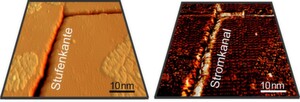 Bild 1: Oberflächenbild der Probe (links) auf Nanometer-Skala mit Stufenkanten die sich auf beiden Seiten des Grabens (dunkler Streifen im Bild) befinden. Rechts sieht man eine Aufnahme der Leitfähigkeit für die gleiche Stelle. Der helle Kontrast im Bild zeigt die Stellen wo sich erhöhte Intensität in der Leitfähigkeit befinden, nämlich genau an den Stufenkanten. Das Gesamtbild zeigt also, dass es an jeder Stufenkante einen Stromkanal gibt. Bild 1: Oberflächenbild der Probe (links) auf Nanometer-Skala mit Stufenkanten die sich auf beiden Seiten des Grabens (dunkler Streifen im Bild) befinden. Rechts sieht man eine Aufnahme der Leitfähigkeit für die gleiche Stelle. Der helle Kontrast im Bild zeigt die Stellen wo sich erhöhte Intensität in der Leitfähigkeit befinden, nämlich genau an den Stufenkanten. Das Gesamtbild zeigt also, dass es an jeder Stufenkante einen Stromkanal gibt.