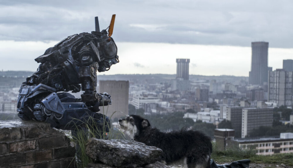 "Chappie", der Film von Sony Pictures mit Sigourney Weaver und Hugh Jackman, entstand ebenfalls unter Einsatz von GPUs und thematisiert selbstlernende Roboter. "Chappie", der Film von Sony Pictures mit Sigourney Weaver und Hugh Jackman, entstand ebenfalls unter Einsatz von GPUs und thematisiert selbstlernende Roboter.