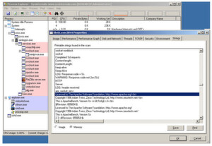 Der Process Explorer von Microsoft fördert weitere Informationen zutage. Der Process Explorer von Microsoft fördert weitere Informationen zutage.