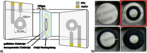 Bild 1: a) Ausführung einer elektrochromen Iris-Blende als elektrochemische Zelle mit zusätzlichen Au/Cr-Elektroden für die Kontaktierung. b) Die vier möglichen Schaltzustände einer EC-Iris mit zwei Blendenstufen, wobei das Schalten der inneren Blendenstufe (oben rechts) so nur mit der EC-Iris möglich ist. Bild 1: a) Ausführung einer elektrochromen Iris-Blende als elektrochemische Zelle mit zusätzlichen Au/Cr-Elektroden für die Kontaktierung. b) Die vier möglichen Schaltzustände einer EC-Iris mit zwei Blendenstufen, wobei das Schalten der inneren Blendenstufe (oben rechts) so nur mit der EC-Iris möglich ist.