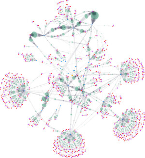 Überblick des Scamware Netzwerkes (Knotenlegende – Gelb: Herausgeber, Blau: Unterzeichner, Rot: Host, Pink: Domäne, Grün: File-MD5). Überblick des Scamware Netzwerkes (Knotenlegende – Gelb: Herausgeber, Blau: Unterzeichner, Rot: Host, Pink: Domäne, Grün: File-MD5).