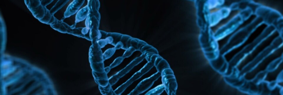 Angesichts der Digitalisierung ändert sich die DNA von Unternehmen grundlegend. Unsere 5 Tipps von godesys helfen Ihnen dabei. Angesichts der Digitalisierung ändert sich die DNA von Unternehmen grundlegend. Unsere 5 Tipps von godesys helfen Ihnen dabei.