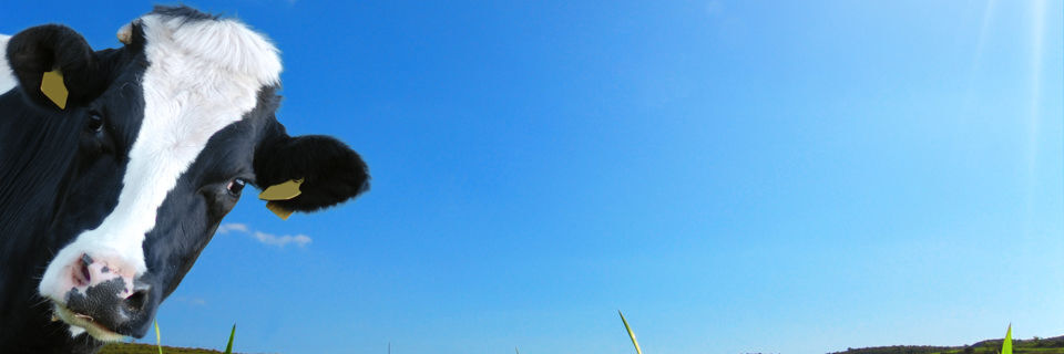 Die Digitalisierung macht auch vor der Landwirtschaft nicht Halt und revolutioniert die Kundenbeziehungen im Agrarsektor. Die Digitalisierung macht auch vor der Landwirtschaft nicht Halt und revolutioniert die Kundenbeziehungen im Agrarsektor.