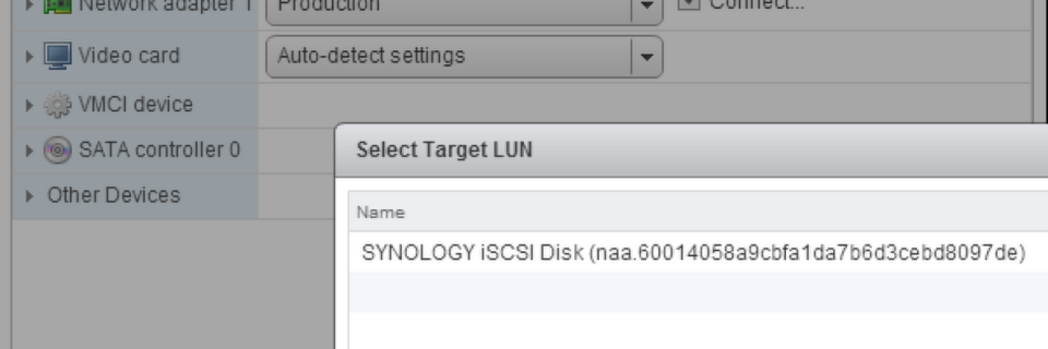 RDM-Disks in einer vSphere-VM RDM-Disks in einer vSphere-VM