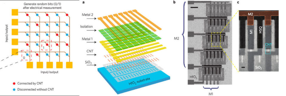 Schematischer Aufbau des selbst-assemblierenden Krypto-Chips. Schematischer Aufbau des selbst-assemblierenden Krypto-Chips.