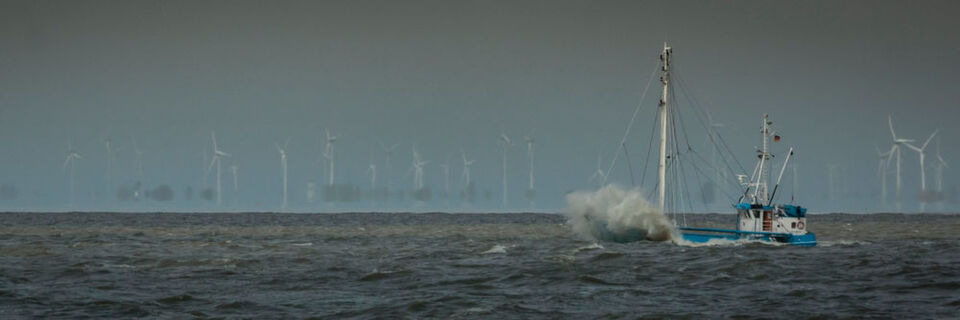 Je nach Wetterlage erreicht die Windgeschwindigkeit hinter Offshore-Parks erst nach zehn bis 100 km ihren ursprünglichen Wert: Mögliche Auswirkungen auf andere Parks und örtliches Klima untersucht das Projekt WIPAFF. Je nach Wetterlage erreicht die Windgeschwindigkeit hinter Offshore-Parks erst nach zehn bis 100 km ihren ursprünglichen Wert: Mögliche Auswirkungen auf andere Parks und örtliches Klima untersucht das Projekt WIPAFF.