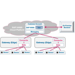 Massendaten werden an einer zentralen Stelle gesammelt und in der Cloud in Datenbanksystemen wie etwa SAP HANA S/4 erfasst, miteinander verknüpft und analysiert. Massendaten werden an einer zentralen Stelle gesammelt und in der Cloud in Datenbanksystemen wie etwa SAP HANA S/4 erfasst, miteinander verknüpft und analysiert.