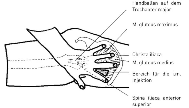 Klicken zum vergrößern