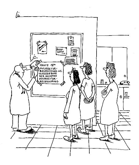 Klicken zum vergrößern