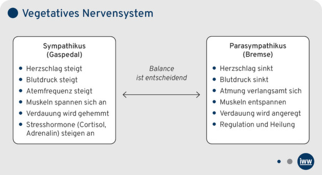 Klicken zum vergrößern