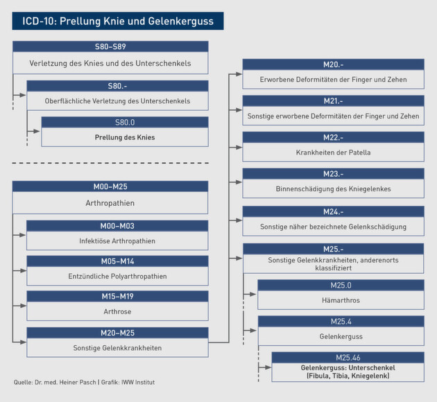 Klicken zum vergrößern
