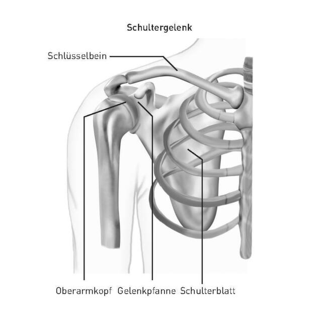 Klicken zum vergrößern