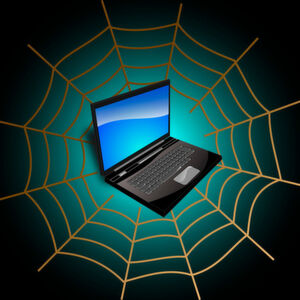 Was ist ein Botnetz?